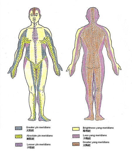 六經皮部分布圖