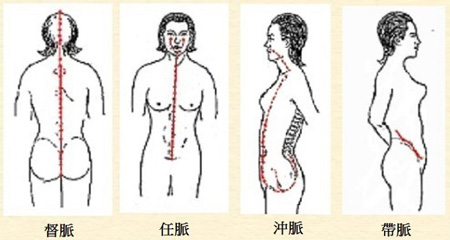 督脈、任脈、沖脈、帶脈是主導女性生理的重要經脈