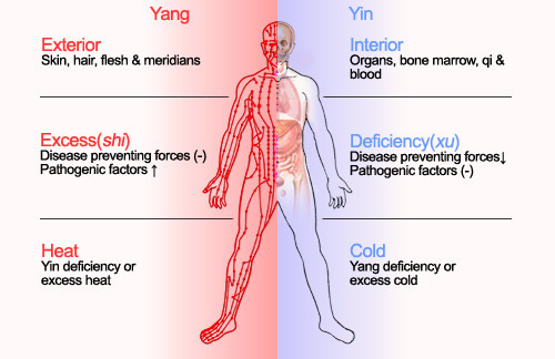 TCM eight principles are yin, yang, exterior, interior, cold, heat, deficiency (xu) and excess (shi).