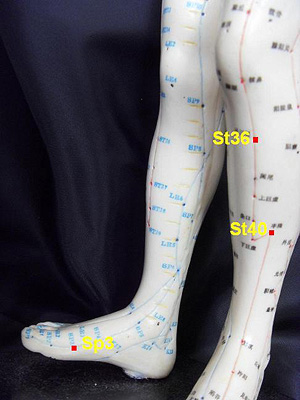 Acupuncture body points for coughing.