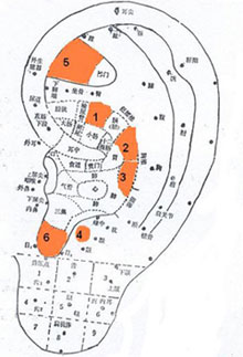 Acupuncture Points For Fertility Chart