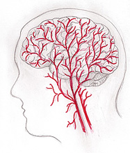 Headache pain is often come from stimulation of pain-sensitive structures surrounding the skull, such as nerves, blood vessels, and muscles.