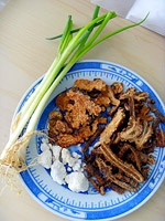 Atractylodes rhizome, notopterygium root, processed alum and green onion stalks 