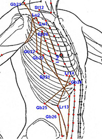 Meridians run in the underarms and lower chest.