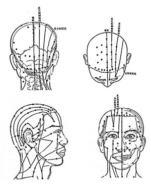 The acupoints and meridians of the head