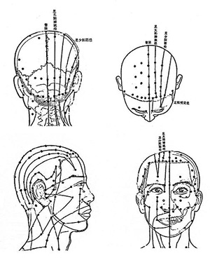頭部經絡穴位分佈 