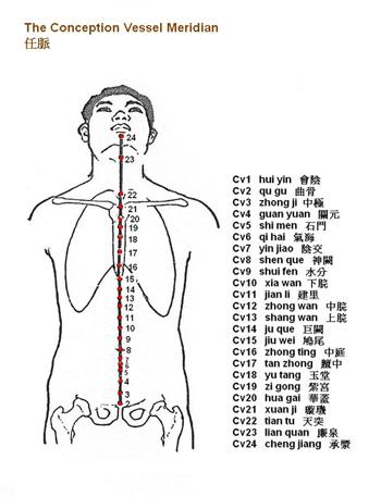 Conception Vessel Meridian