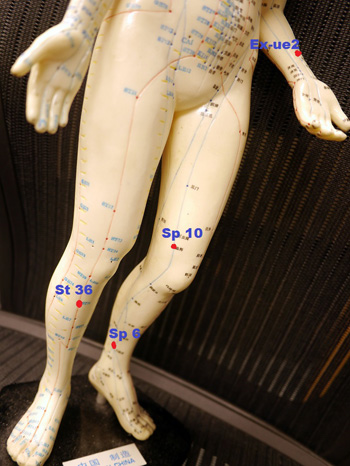 Acupuncture points for itchy anus