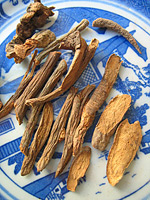 Garden burnet root