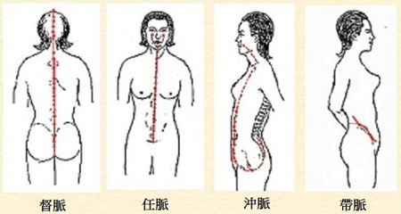 The Governor Vessel, Conception Vessel, Thoroughfare Vessel and Girdling Vessel meridians play important roles in woman's physiology