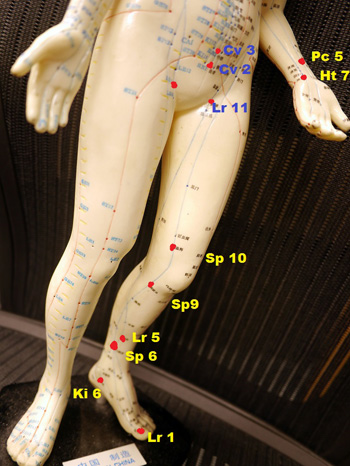 Common acupuncture points for itchy vulva