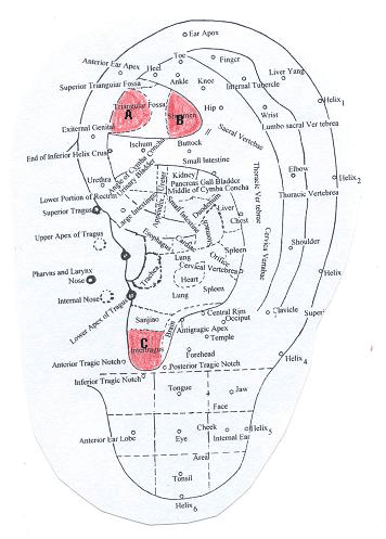 Auricular Acupressure Point Chart