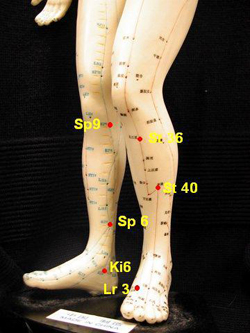 The acupuncture points for menopause problems