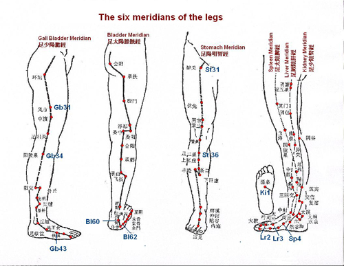 Size Chart Legs