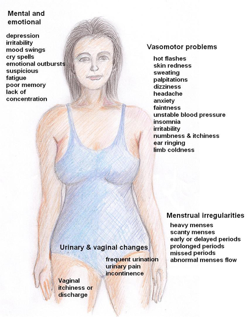 Symptoms of early menopause - Bodyline Clinic