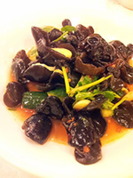 Black fungus salad