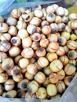 Fresh lotus seed