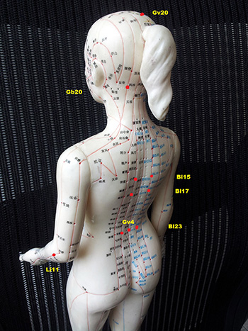 1. Commonly used acupoints for hypertension