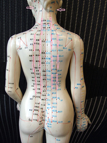 1. Needle tapping locations for hypertension