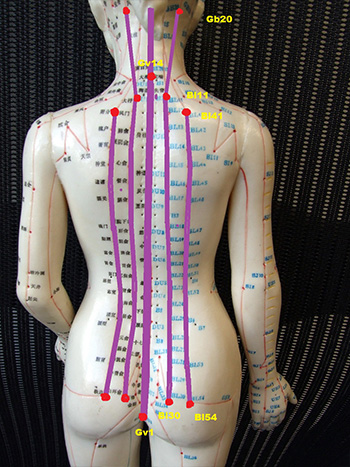 Scraping therapy application for hypertension