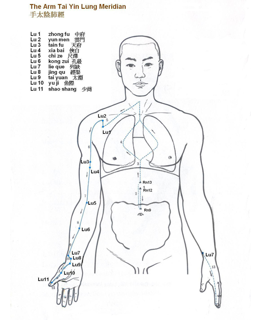 lung meridian tai yin arm acupuncture continued 2009