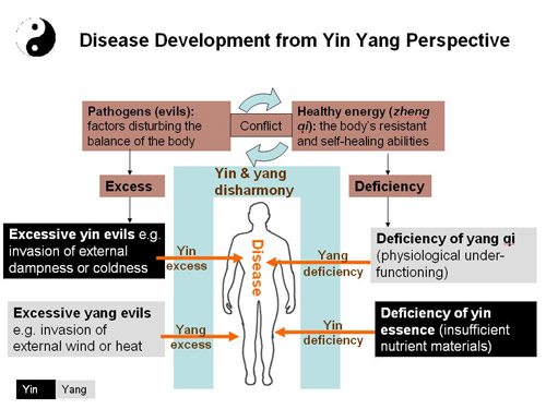 Disease development from a yin yang perspective