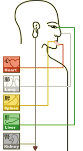 Tcm Headache Chart