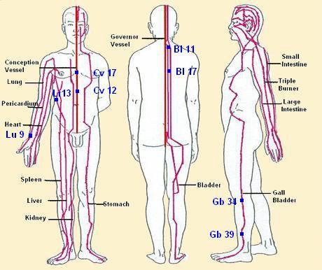 acupuncturepointsintamilpdf