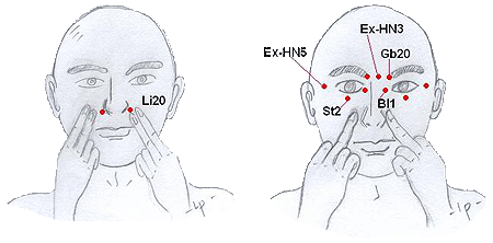 Massage to promote the nasal region