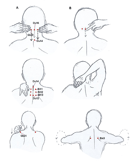 Massage to promote the neck and back