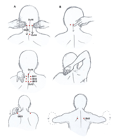 Massage to promote the neck and chest region